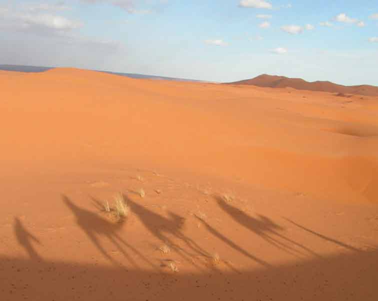 Homage à Lawrence d'Arabie (Maroc)