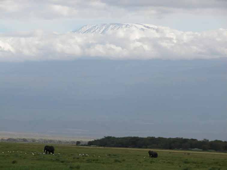 Kilimandjaro