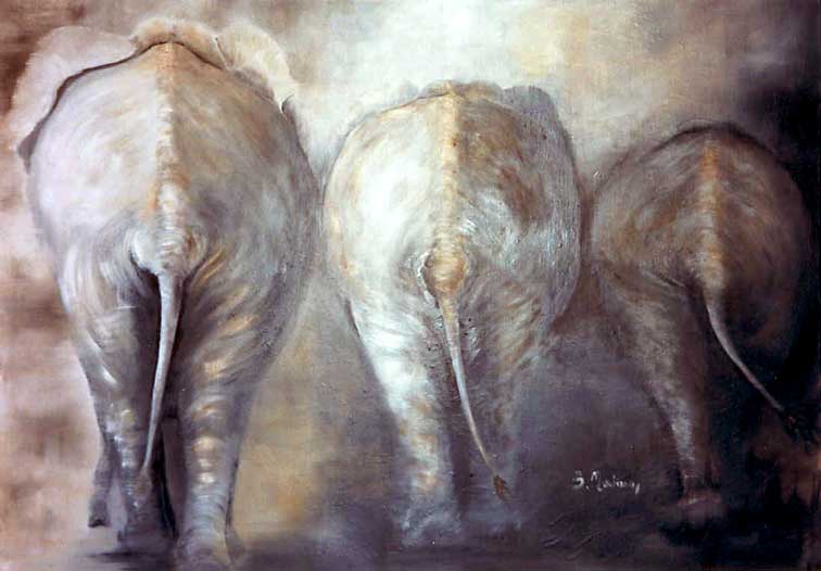 Elephants (c) Brigitte Morisson