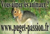 www.puget-passion.fr