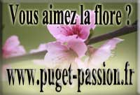 www.puget-passion.fr