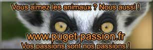 www.puget-passion.fr