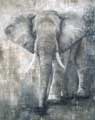 Elephant (c) Brigitte Morisson